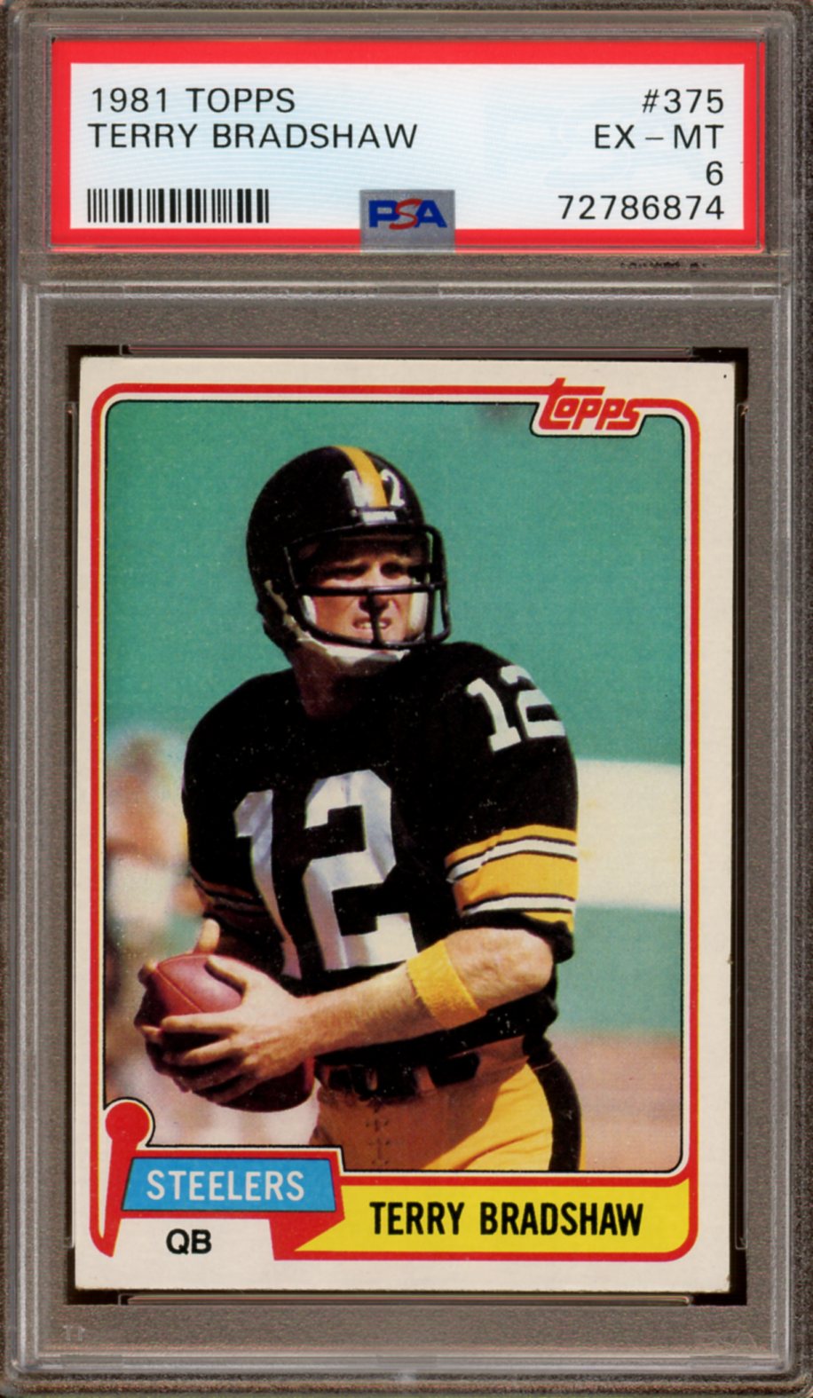 terry bradshaw super 6