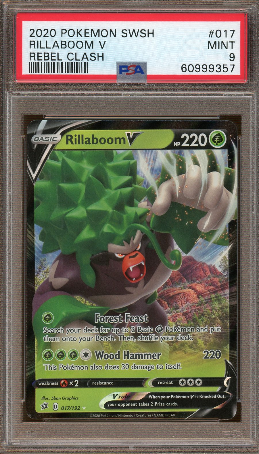 Rillaboom V, Pokémon