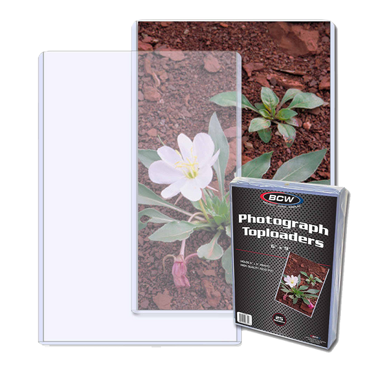 BCW - 6x9 - Top Loader Pack - 25 Count
