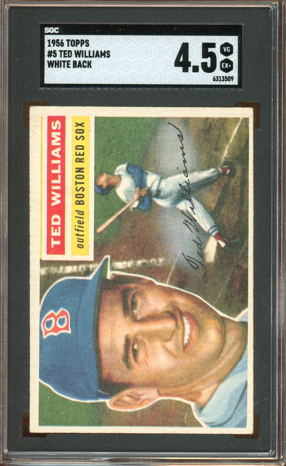 SGC 4.5 - 1956 Topps - #5 Ted Williams - White Back