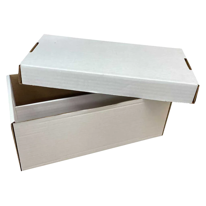 BCW - 2-row Graded Shoe Storage Box